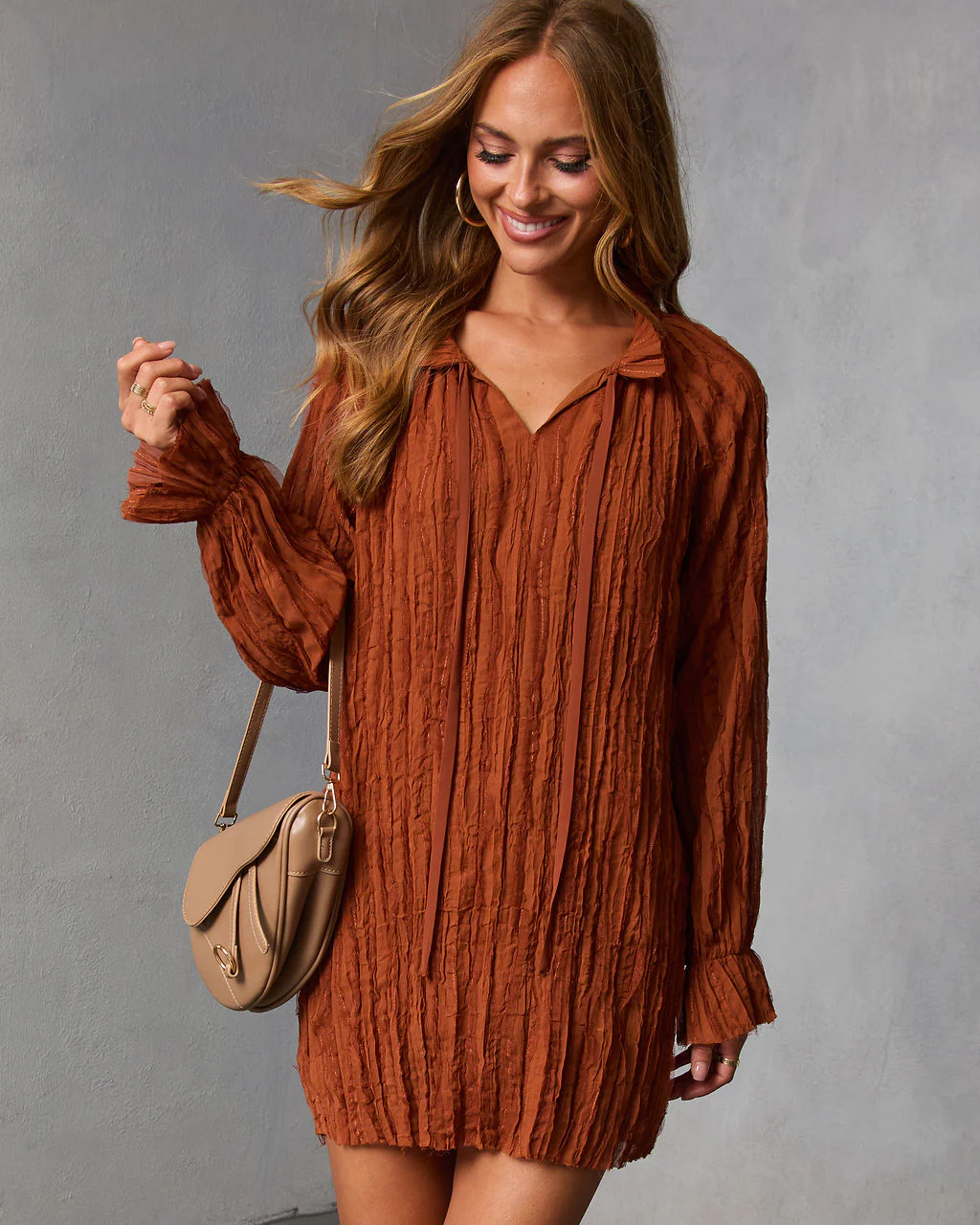 Autumn Stone Shift Chiffon Mini Dress - Image 2