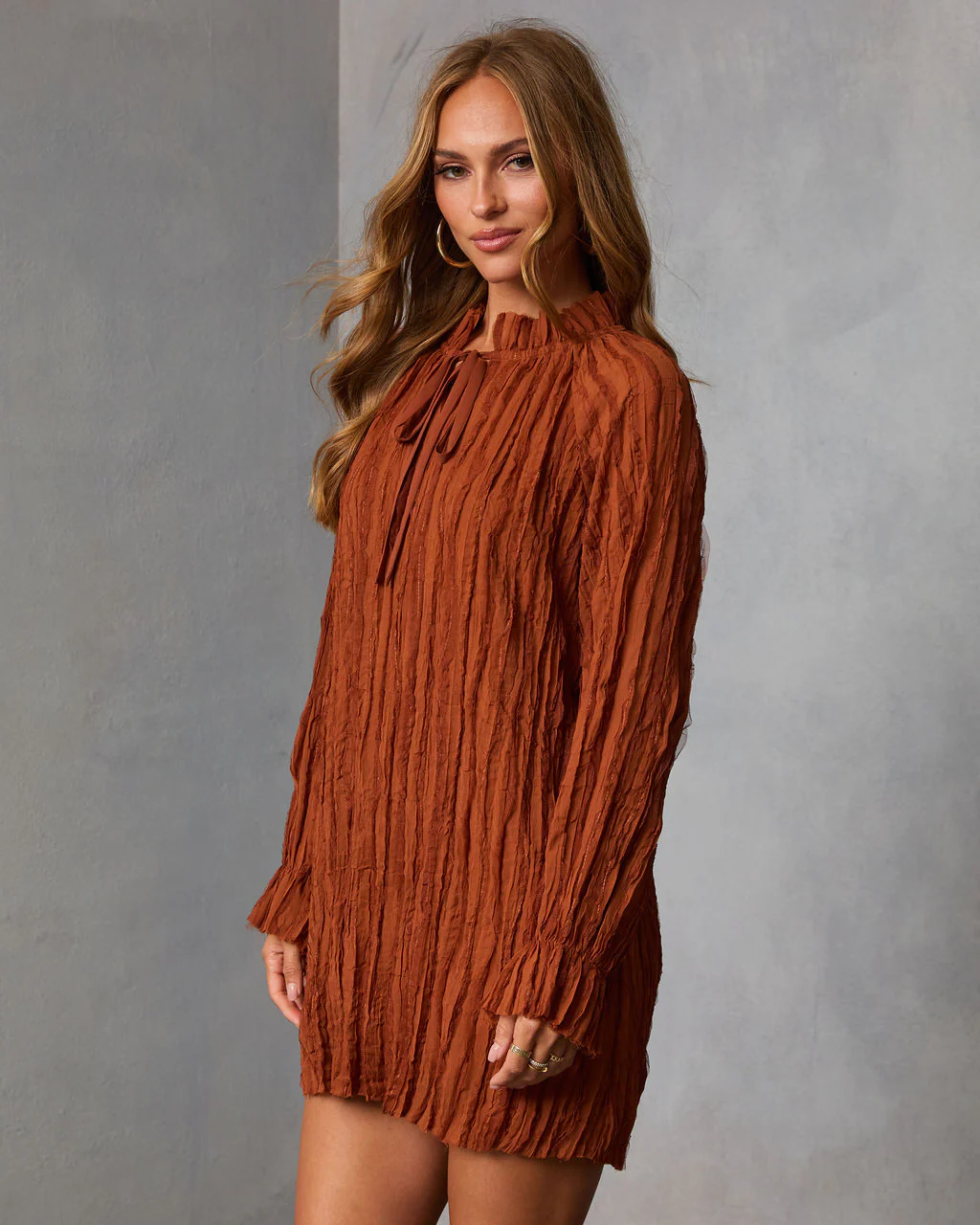Autumn Stone Shift Chiffon Mini Dress - Image 3