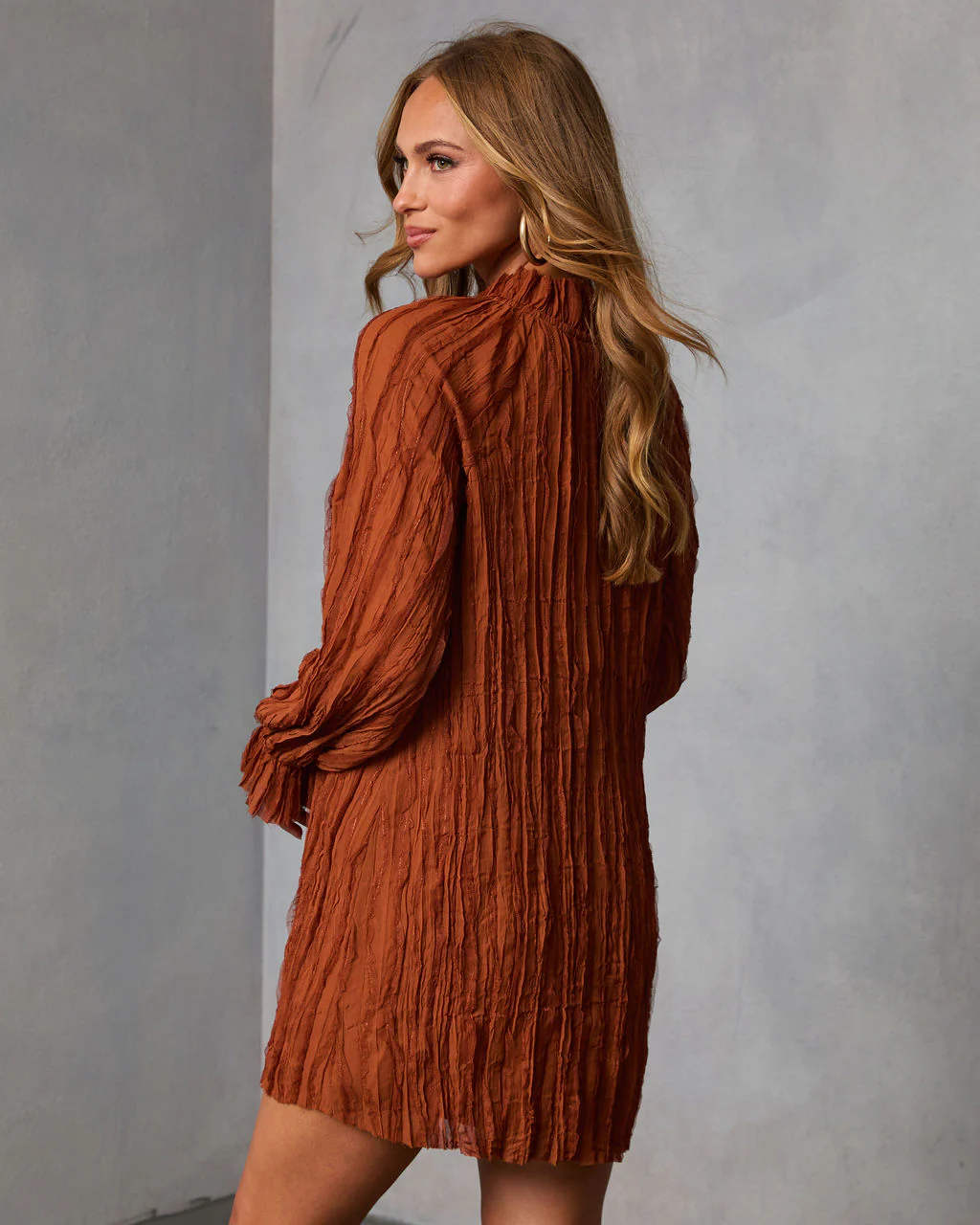 Autumn Stone Shift Chiffon Mini Dress - Image 4