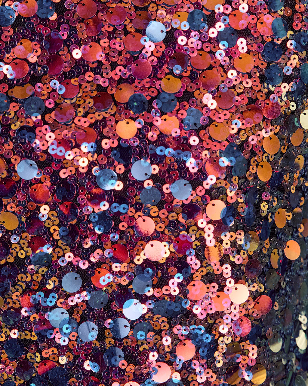 Joelie Iridescent Sequin Top - Image 6