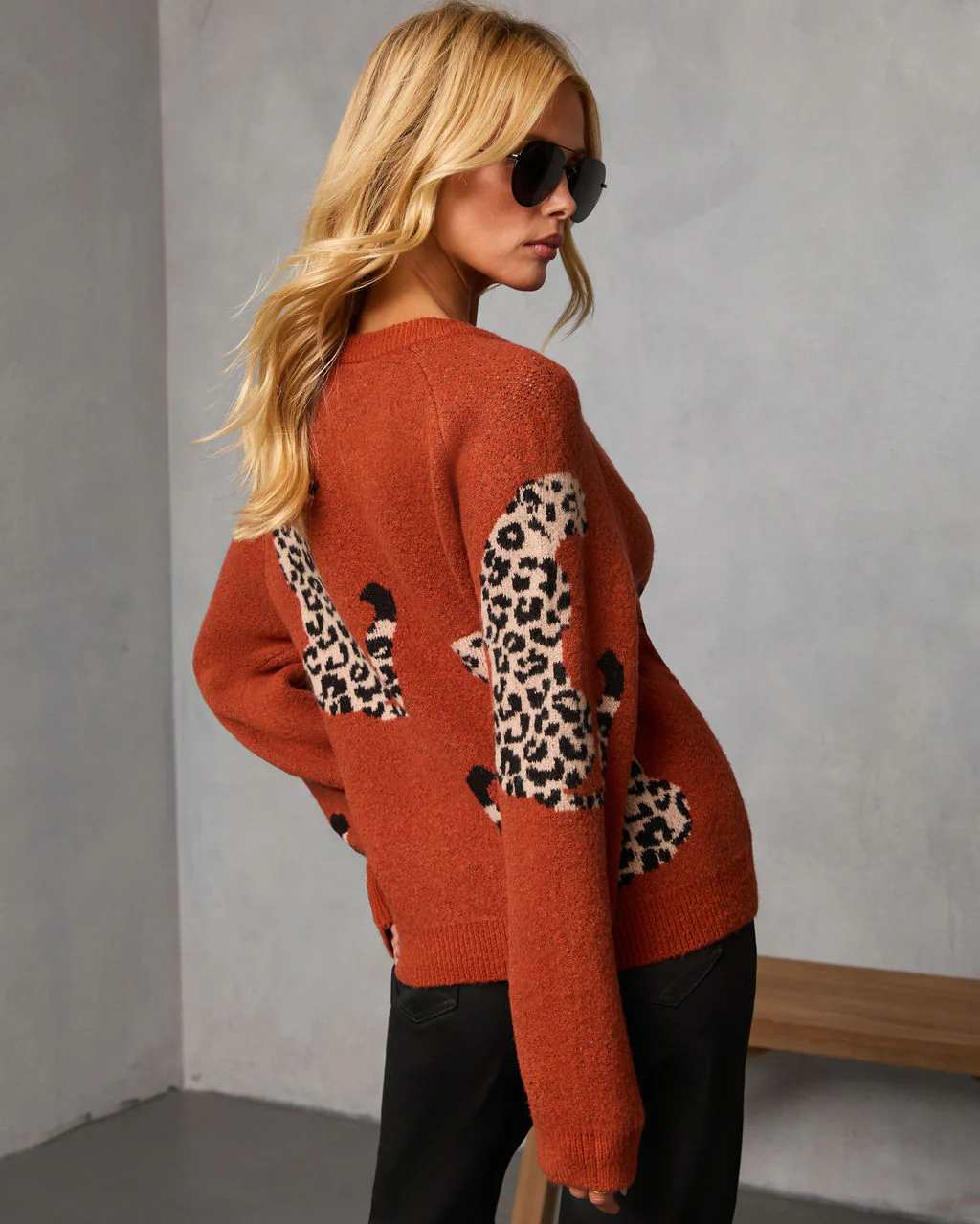 Nalie Leopard Motif Crew Neck Sweater - Image 4