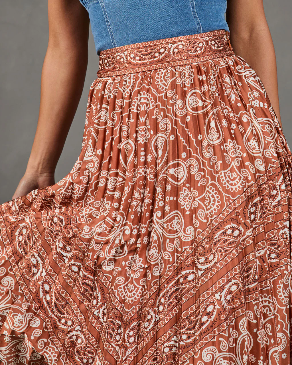 Whispered Valley Pleated Paisley Midi Skirt - Image 6